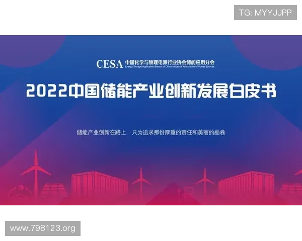 鸿泰辉：引领行业发展的创新企业之路